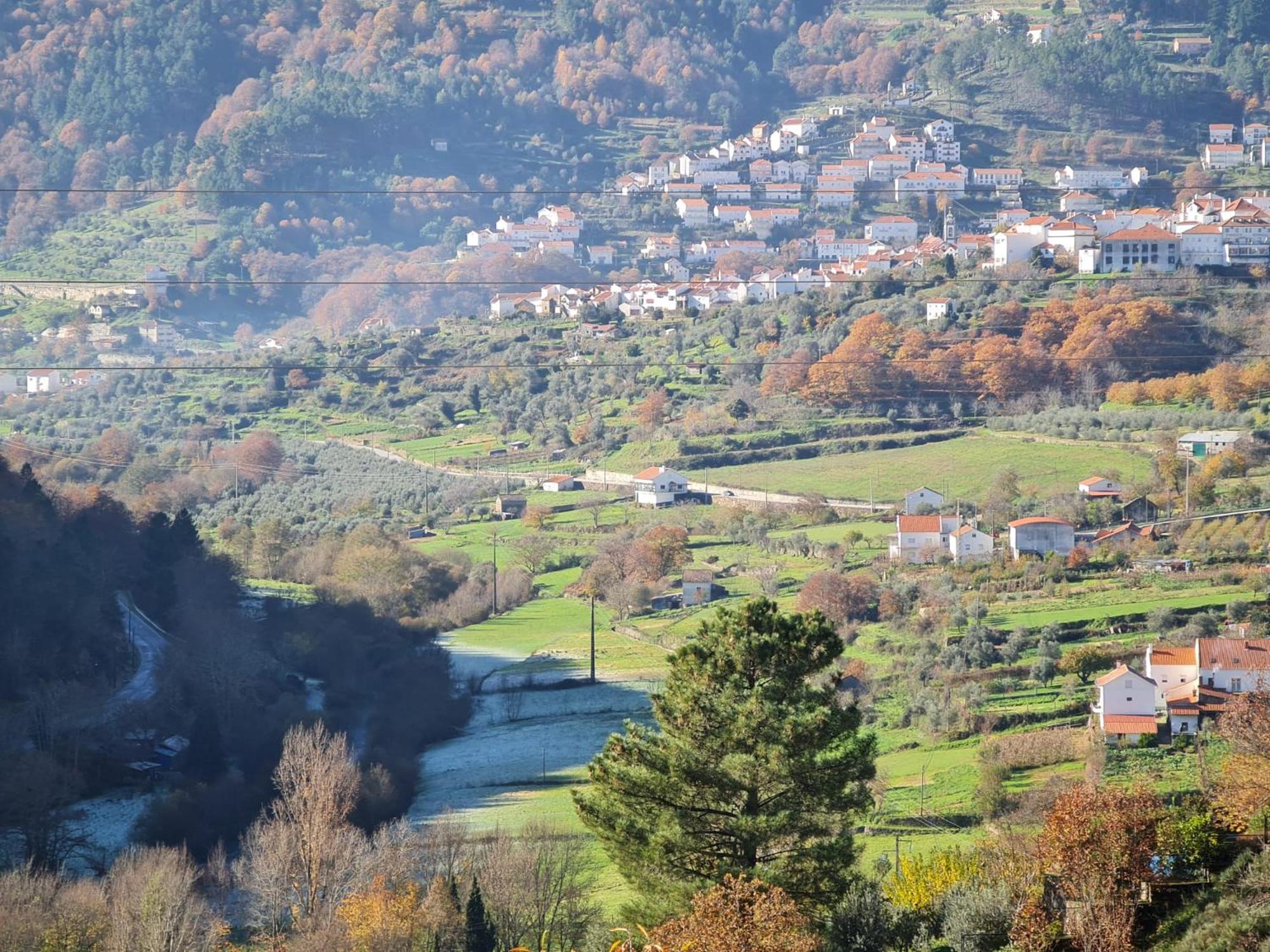 Casa das Oliveiras - Manteigas view 3
