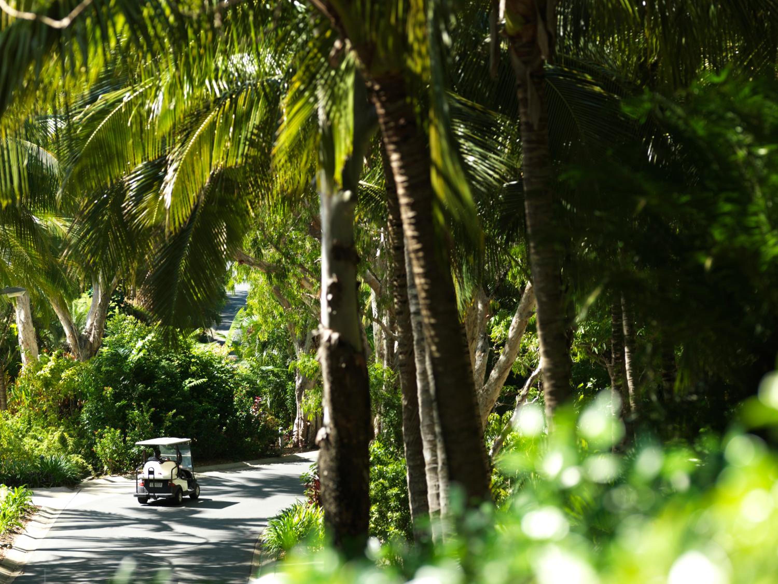 Hamilton Island Holiday Homes