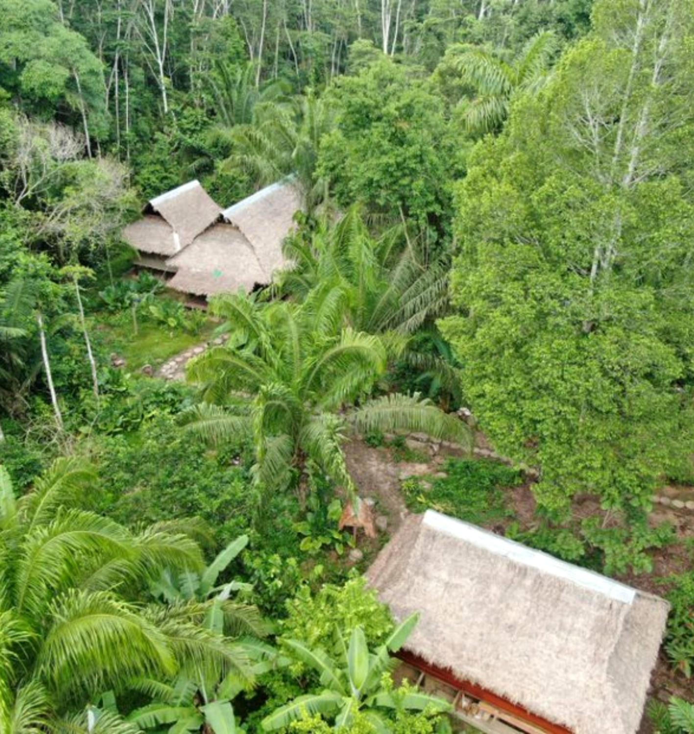 Ecolucerna Lodge Tambopata