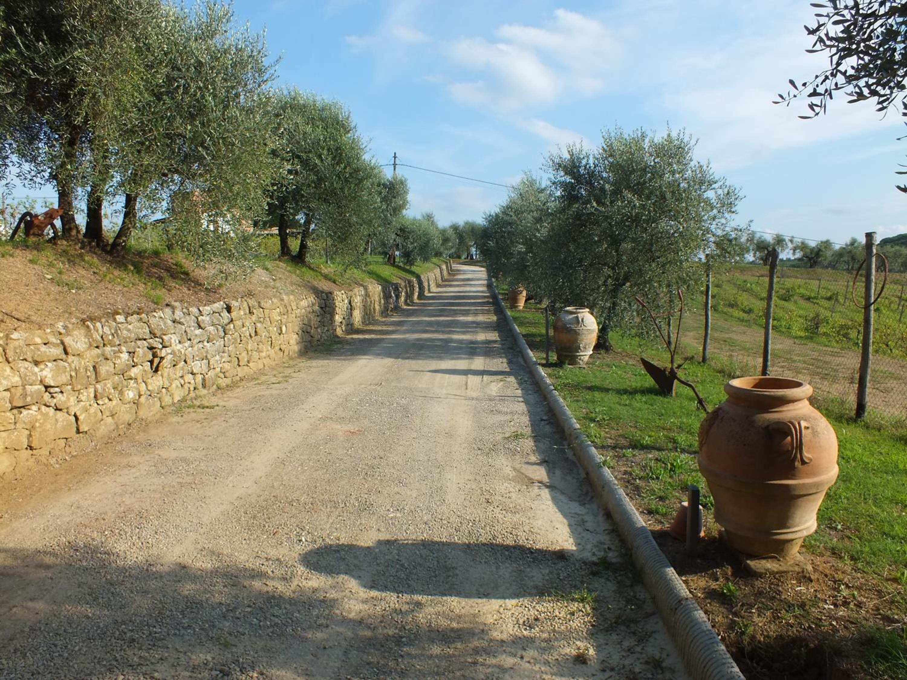 Photo 43