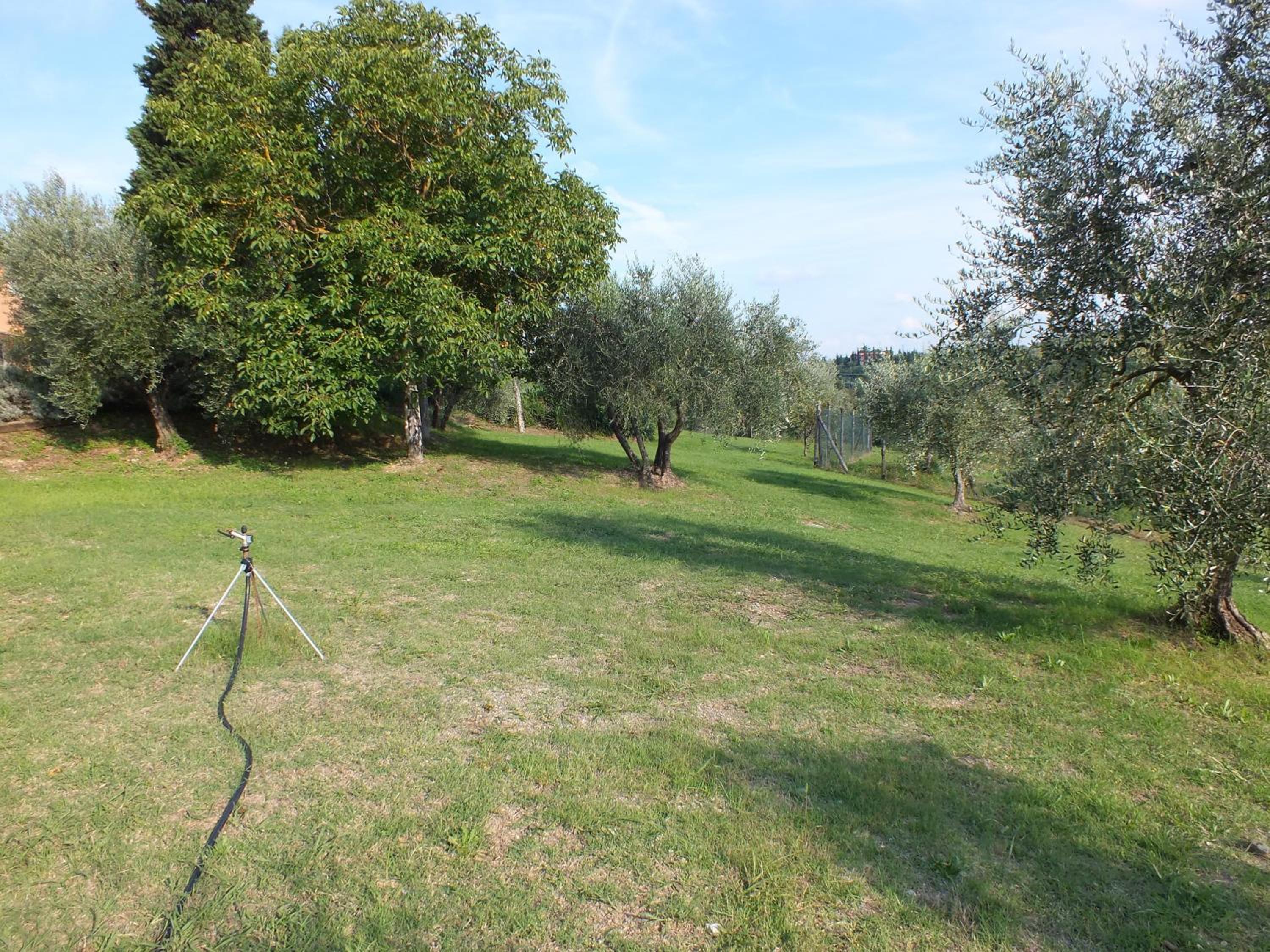 Agriturismo Ai Mandrioli view 4