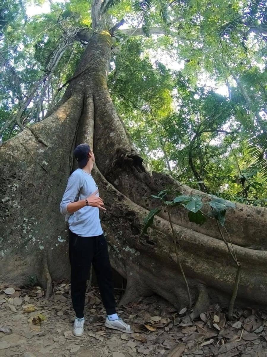 Ecolucerna Lodge Tambopata