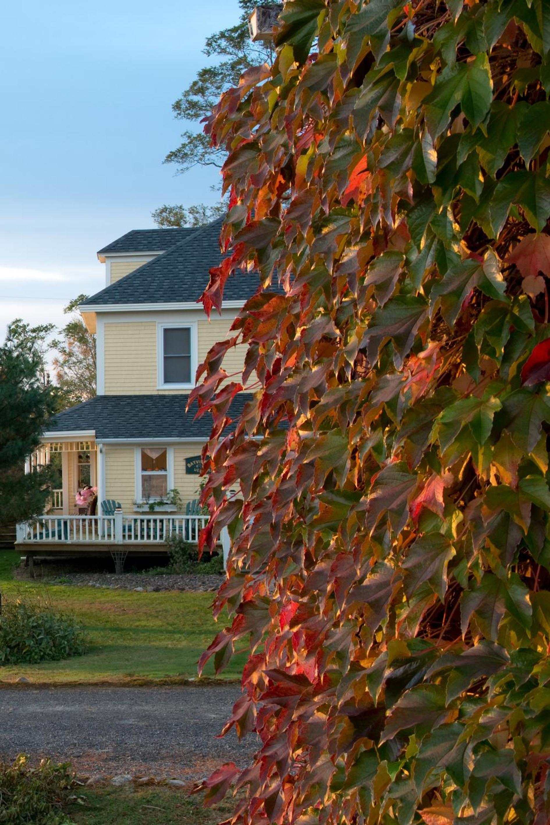Bayview Pines Country Inn B&B