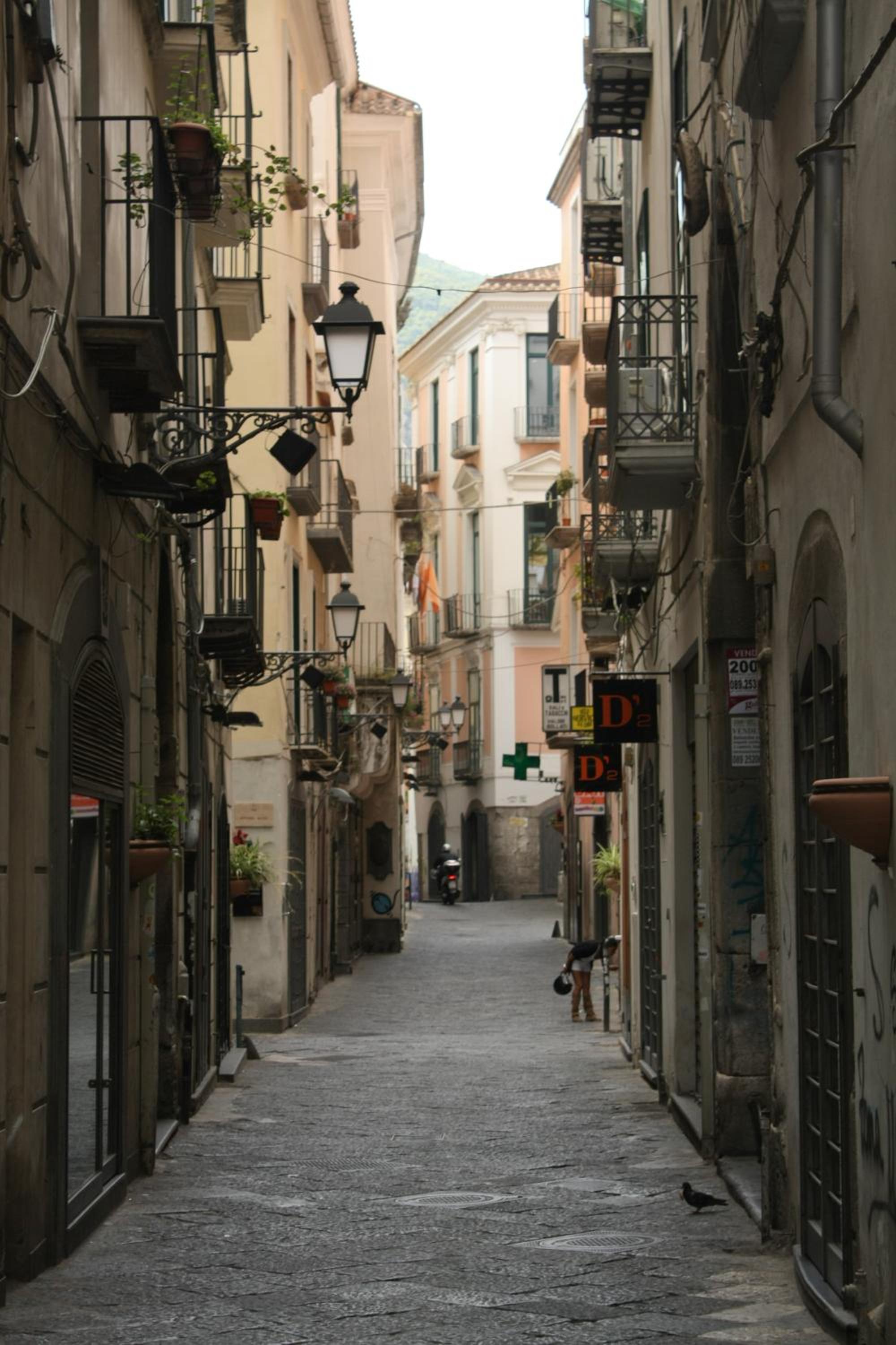 Sichelgaita Apartment