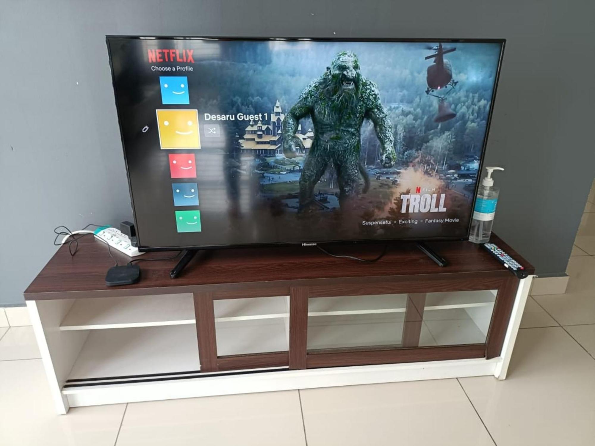 Desaru Recreation House Billiard-Netflix-Dart-BBQ photo 8