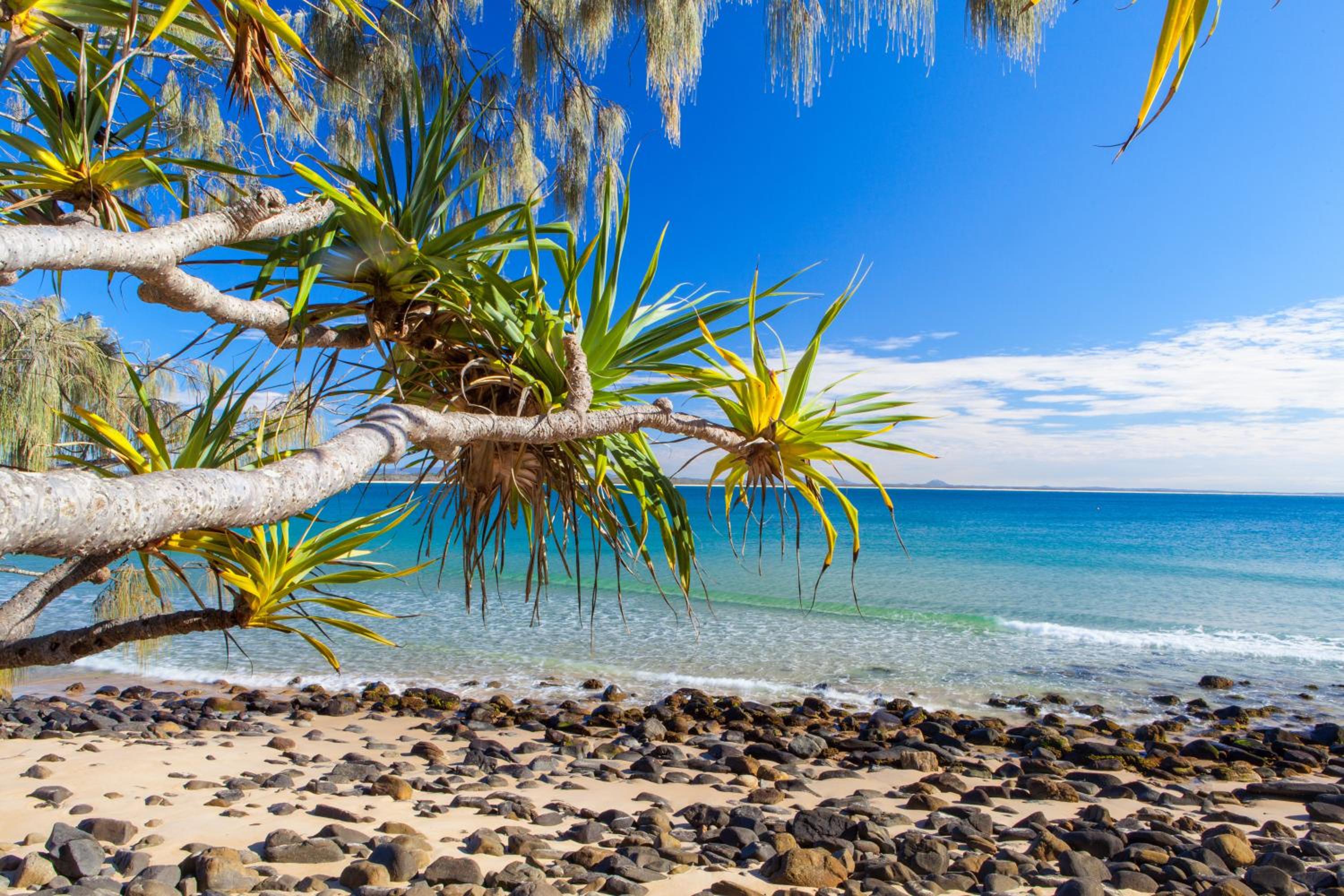 9 Little Cove Road, Noosa Heads - Private Slice of Paradise
