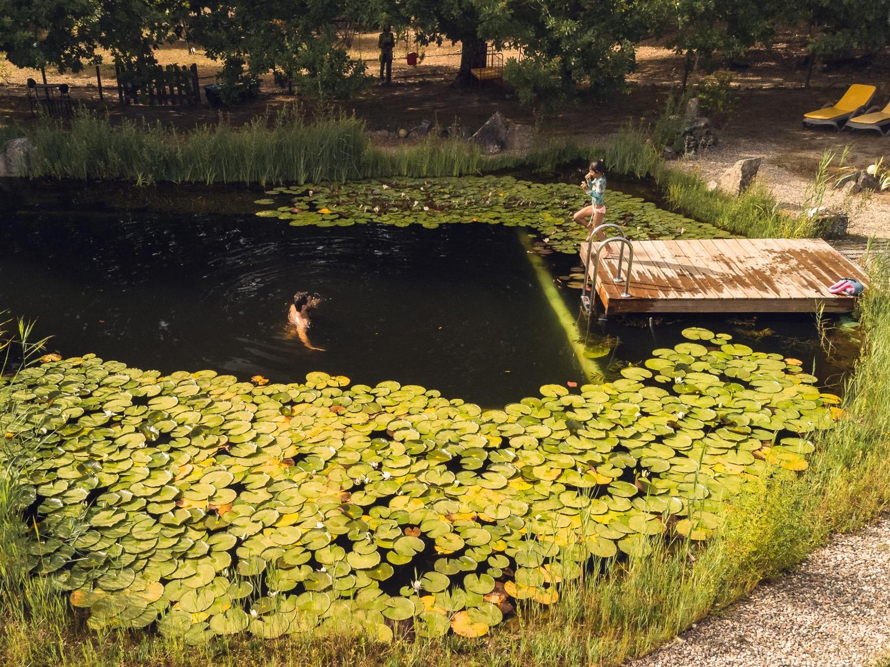 Casa Das Palmeiras-Pedagogic Farm