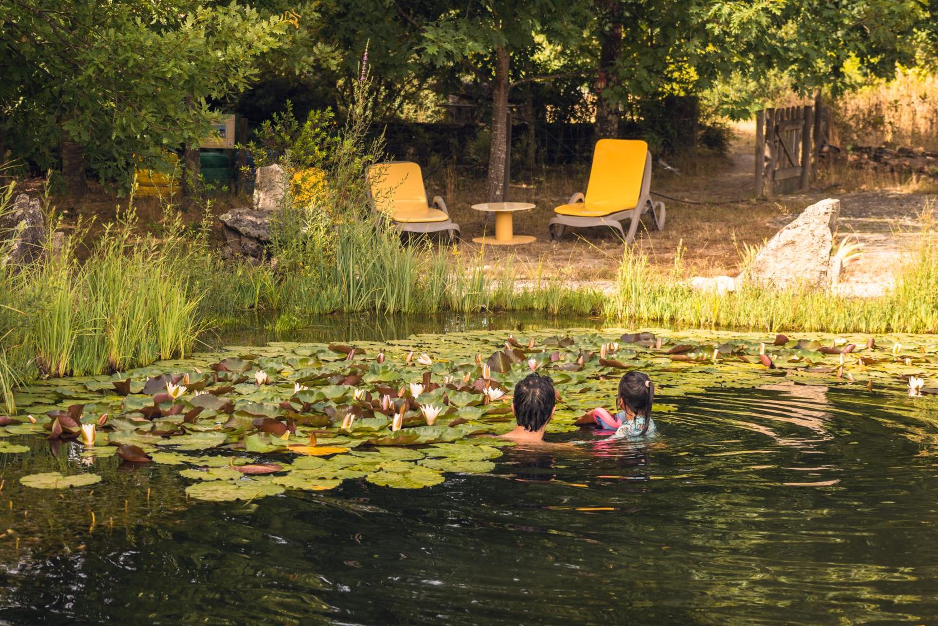 Casa Das Palmeiras-Pedagogic Farm