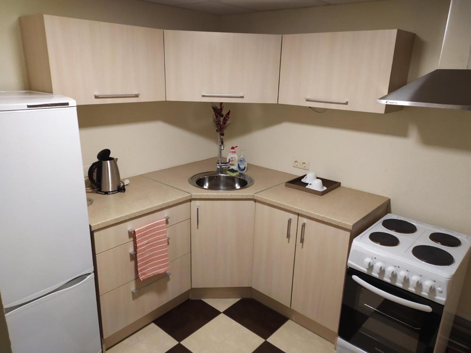 Draugystės apartmentai view 5