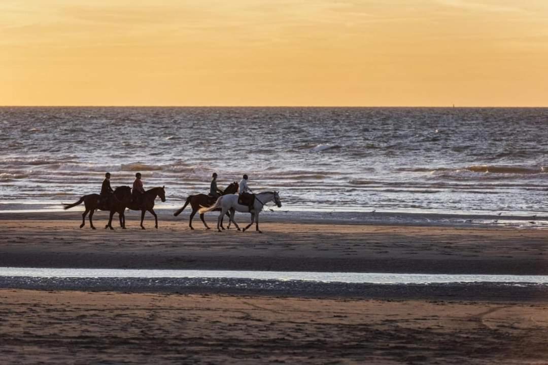 Vakantievilla Het Dunehuys