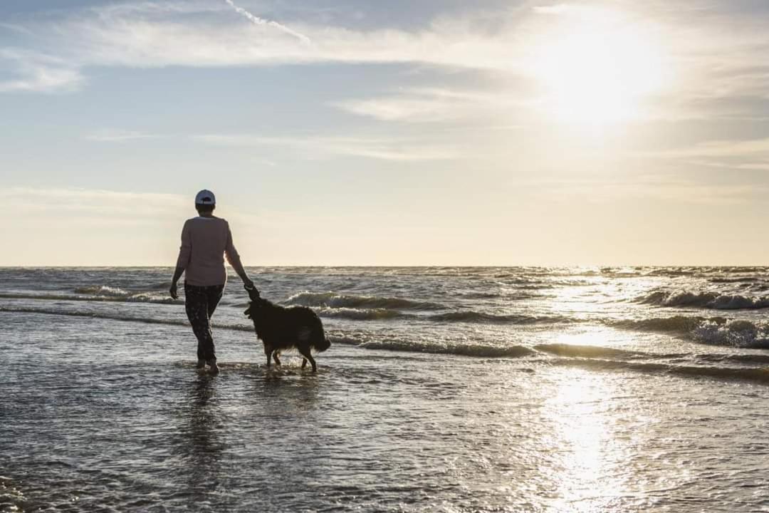 Vakantievilla Het Dunehuys