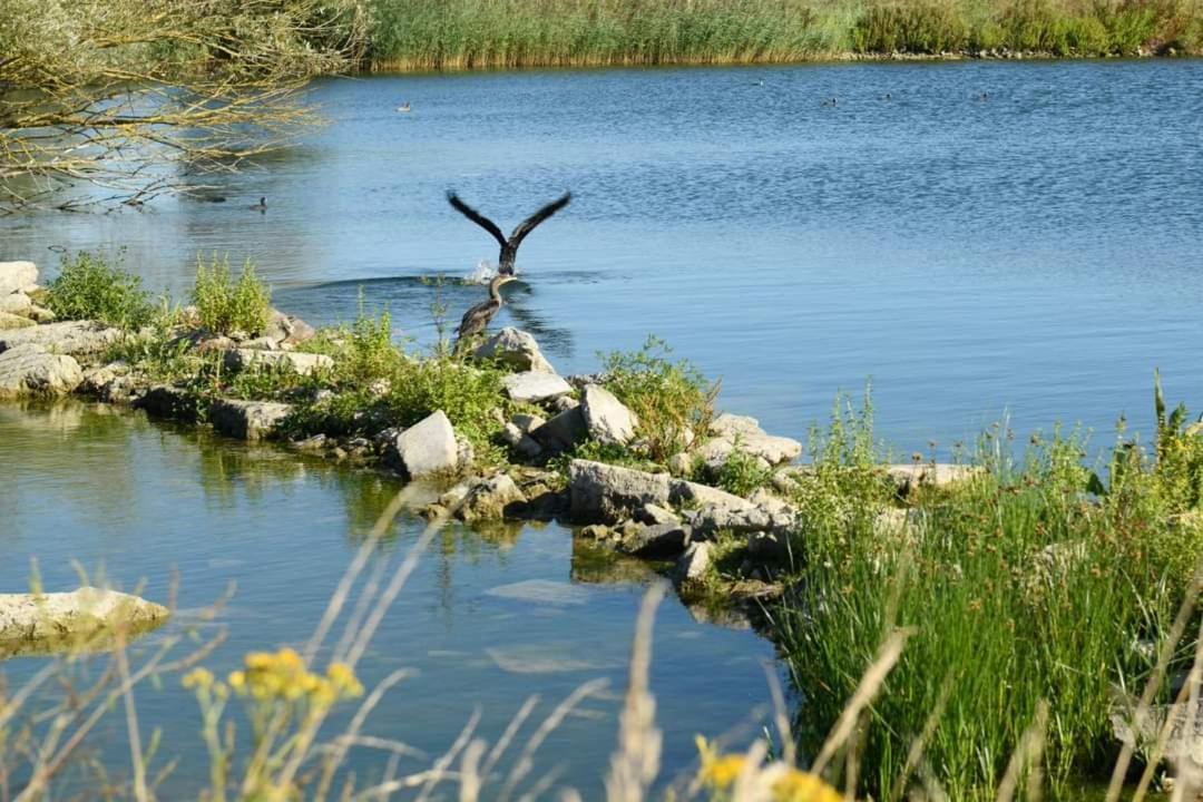 Vakantievilla Het Dunehuys