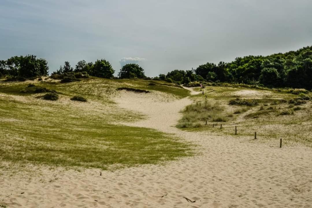 Vakantievilla Het Dunehuys