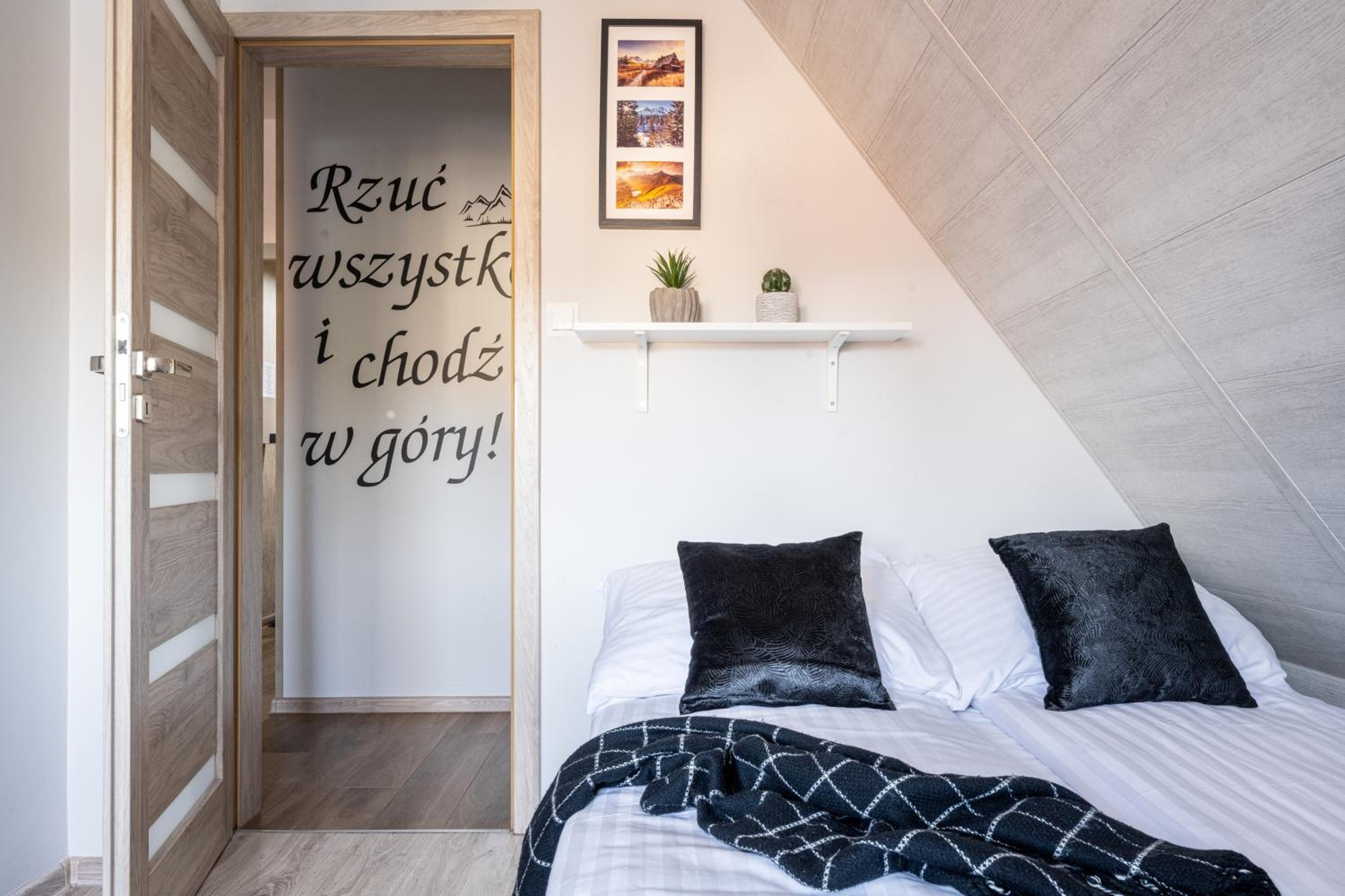 Ryś w Centrum APARTZAKOP view 4
