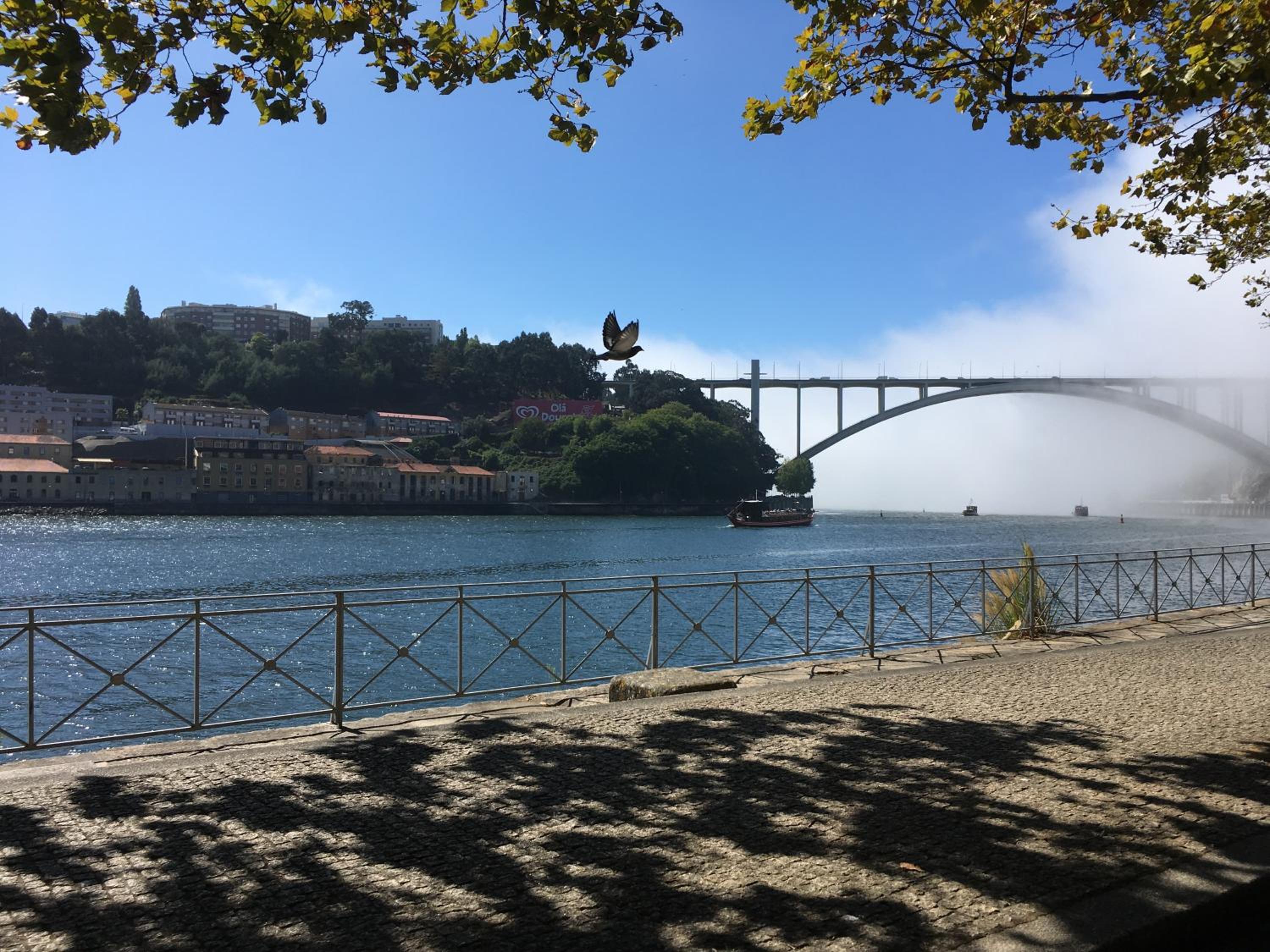 LovePorto2 Balcony/Garden@Hist.C