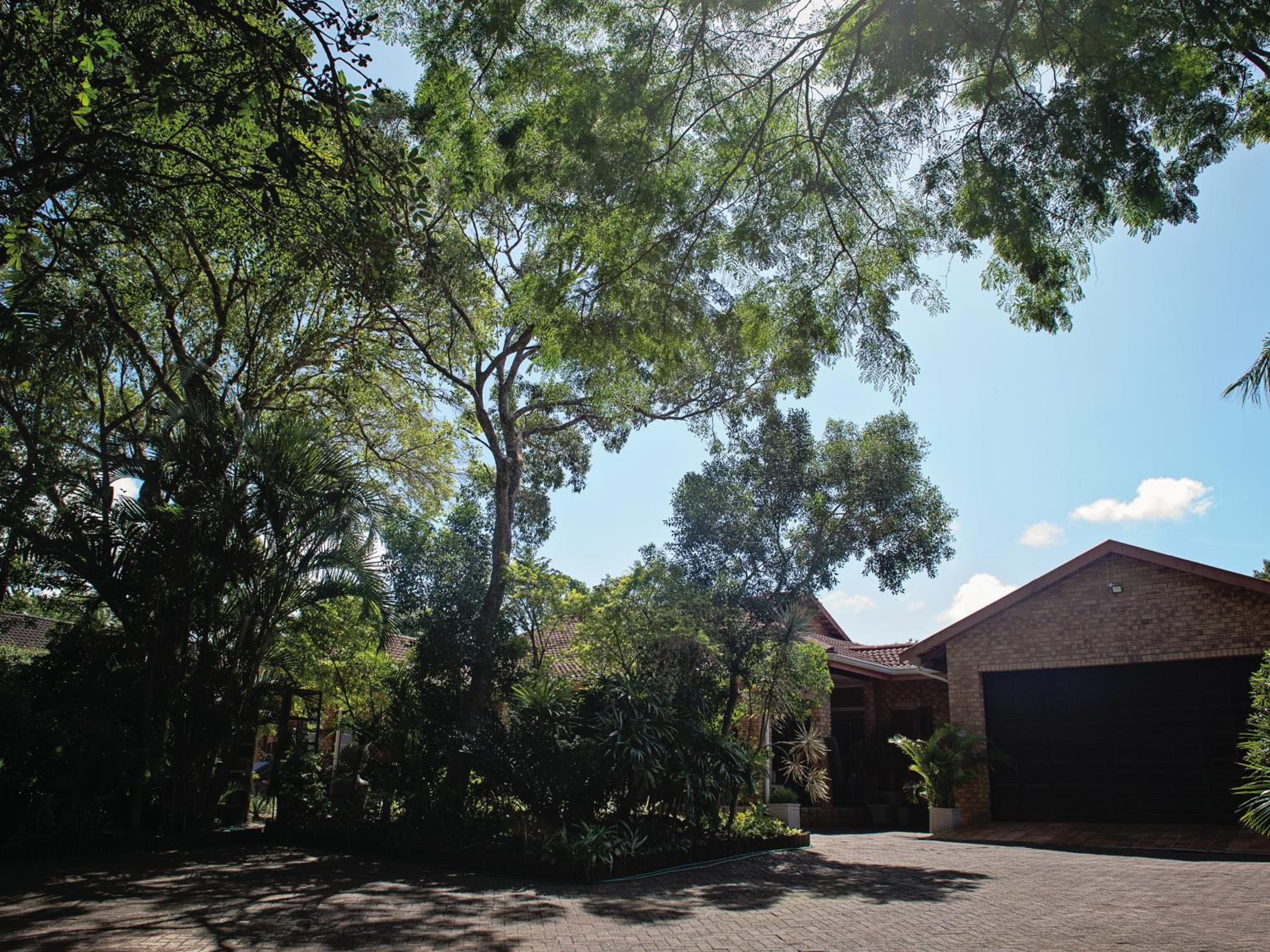 Galago Way