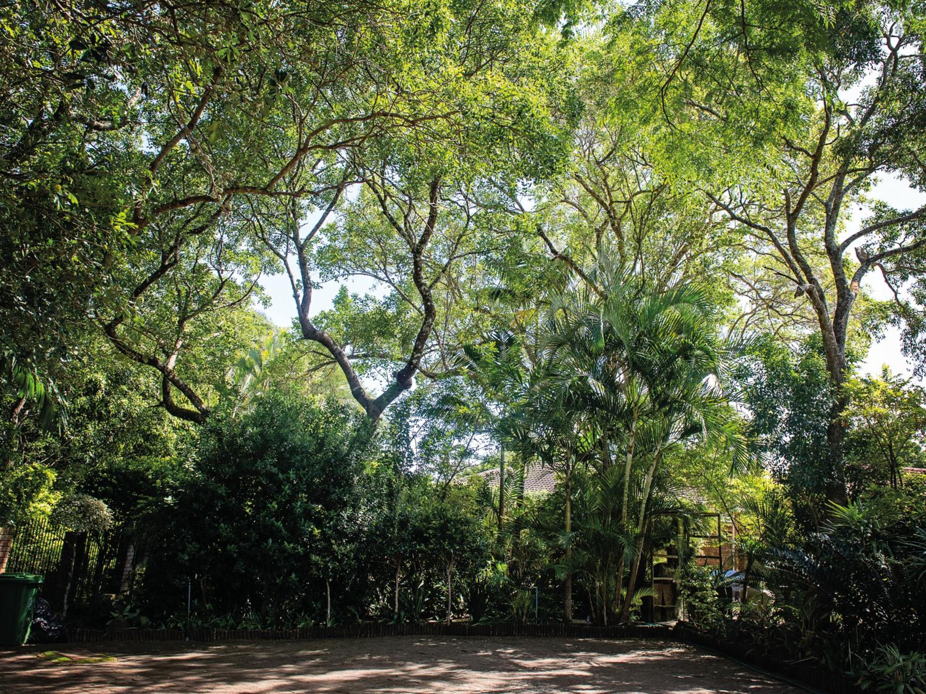 Galago Way