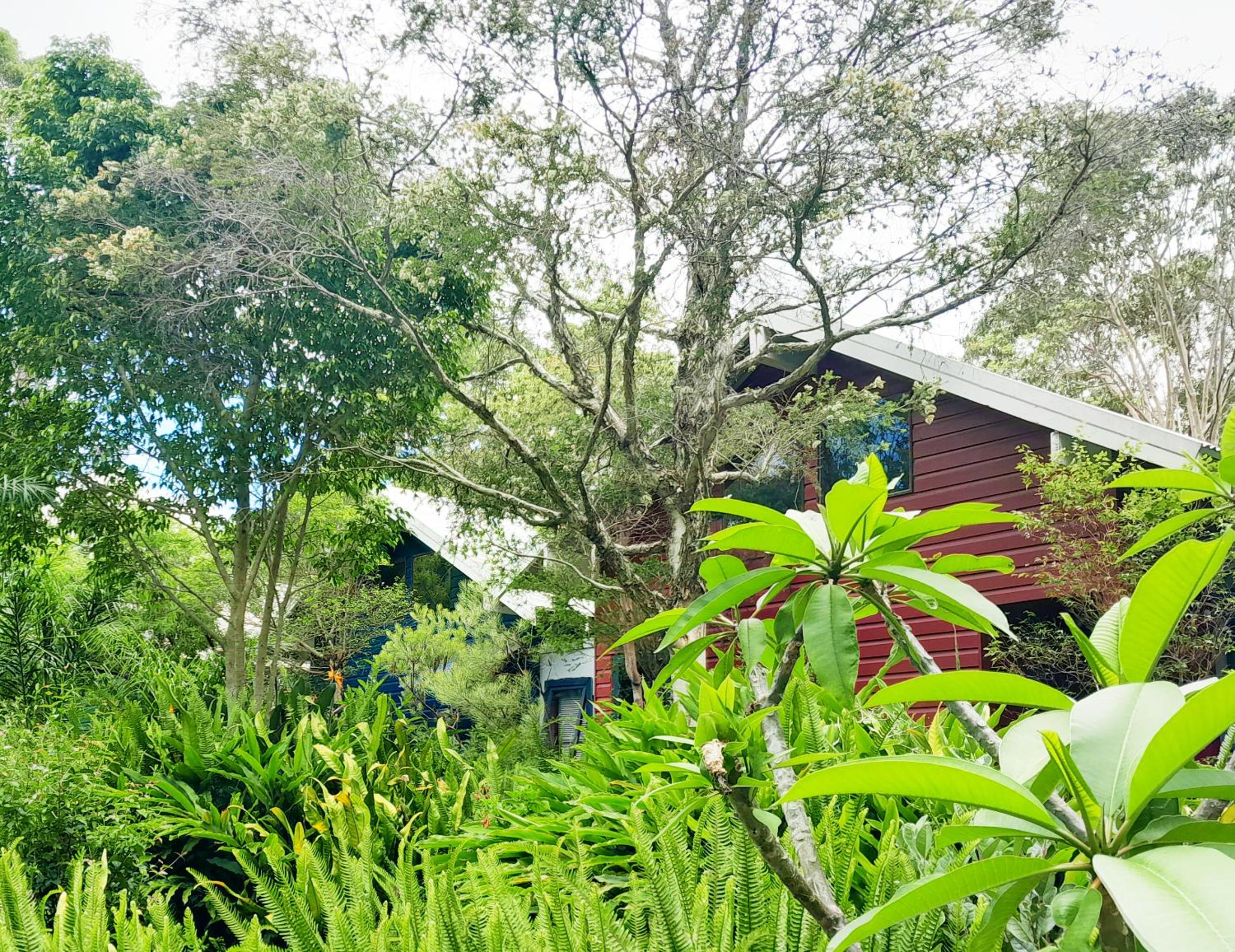 Sky Island Studios