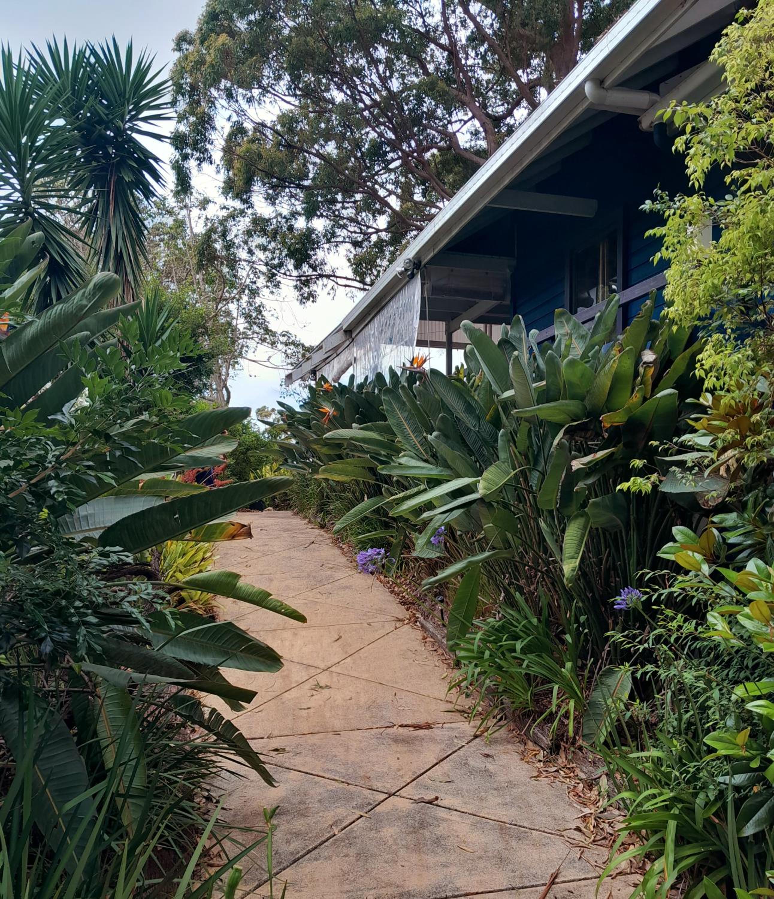 Sky Island Studios