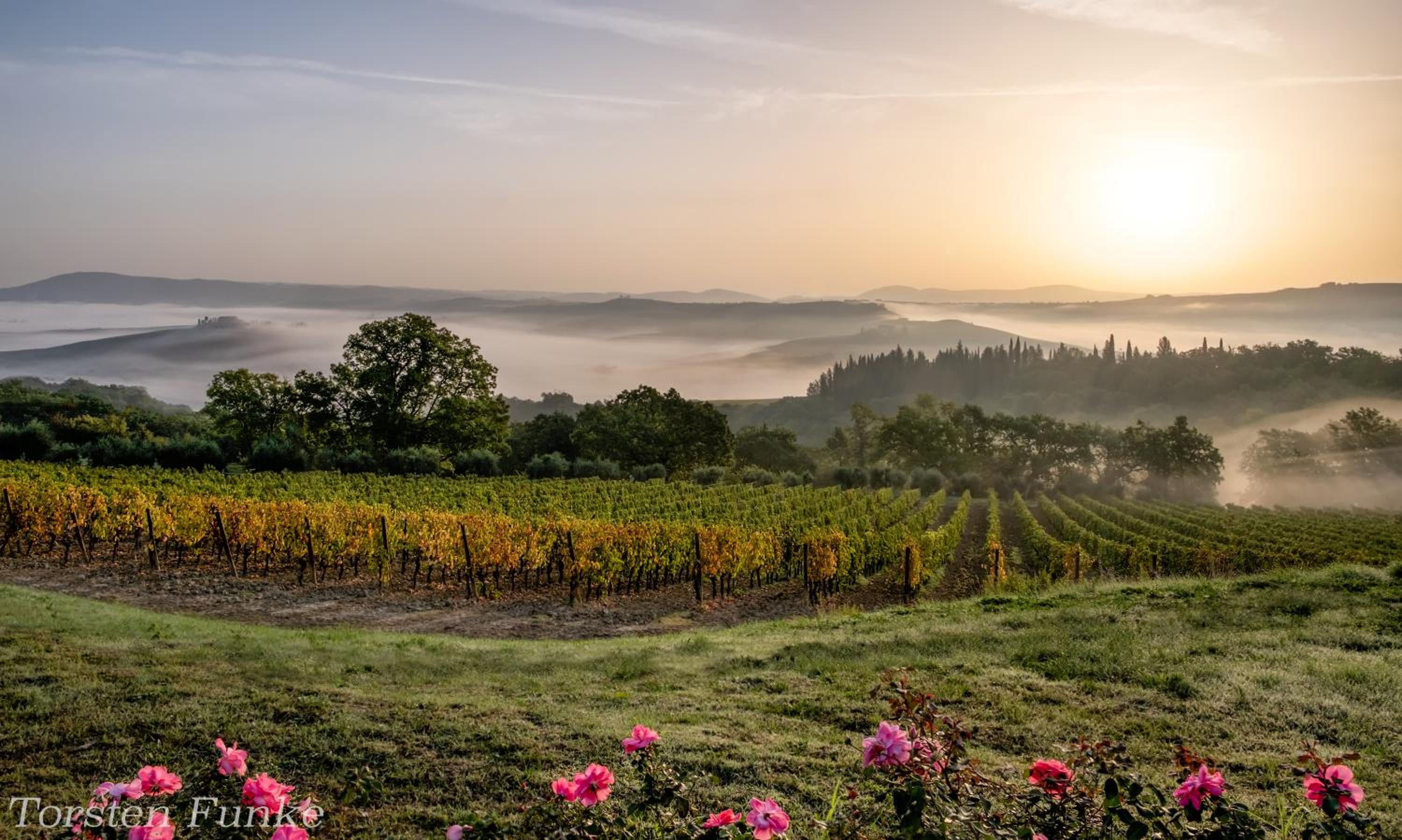 Agriturismo Mocine
