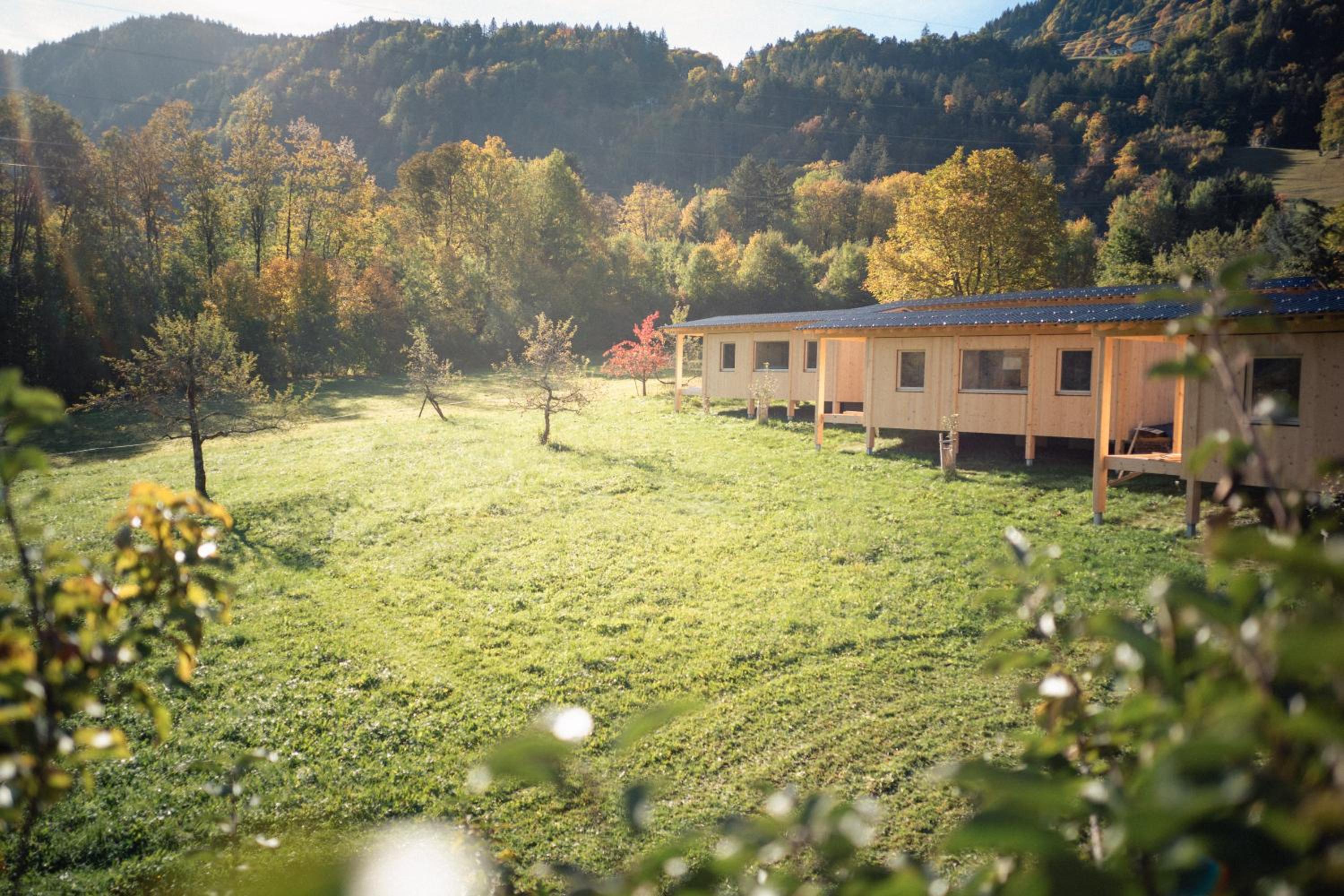 Pinjola