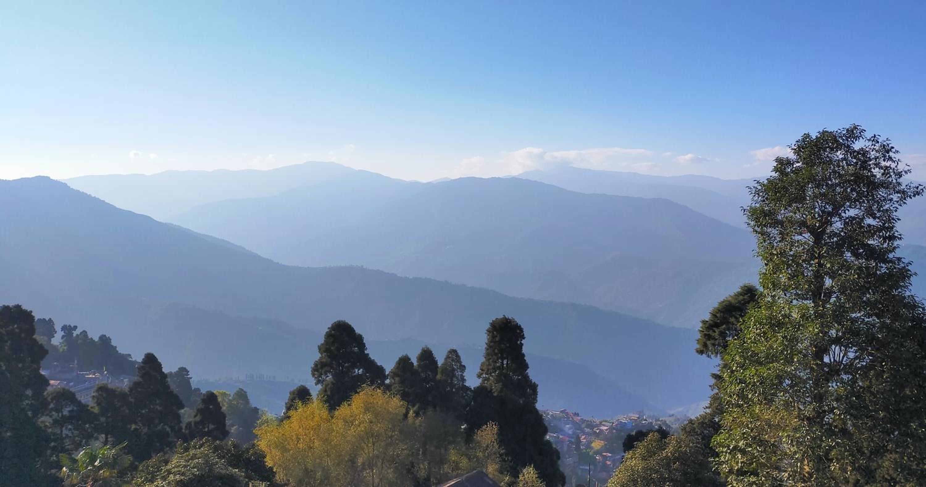 Ridge View Chalet Homestay, photo 19