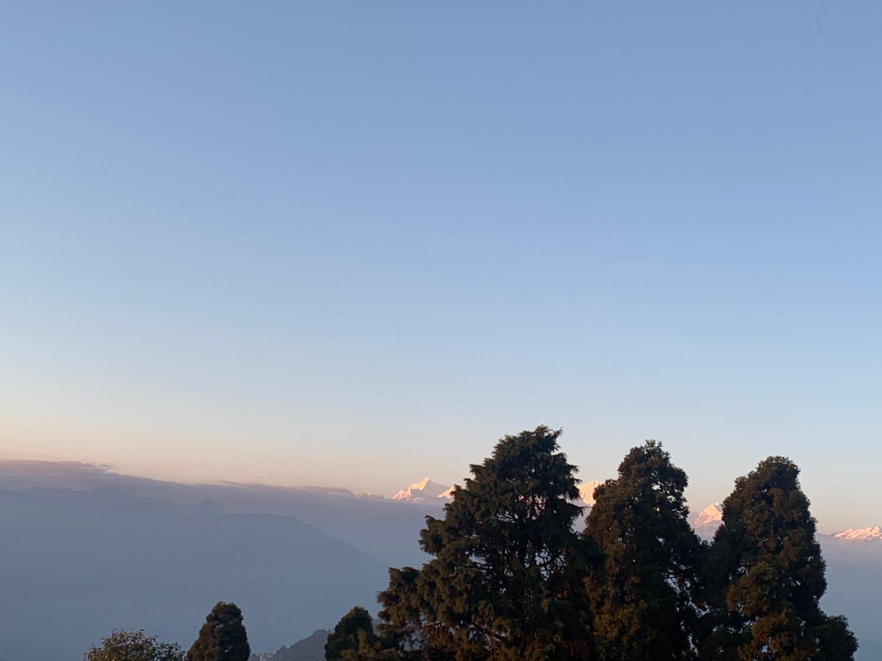 Ridge View Chalet Homestay view 5