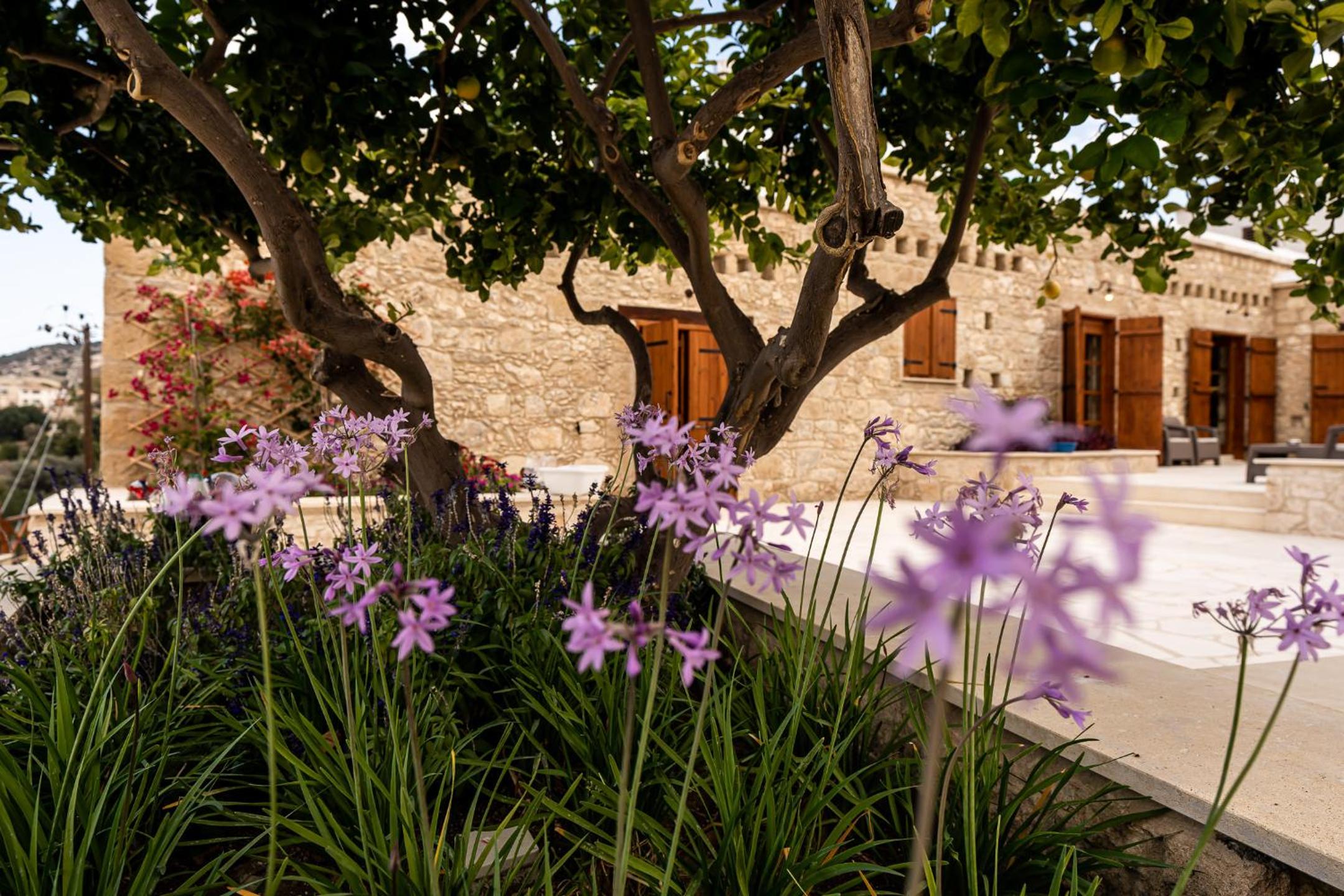 Harma Traditional Boutique Suites