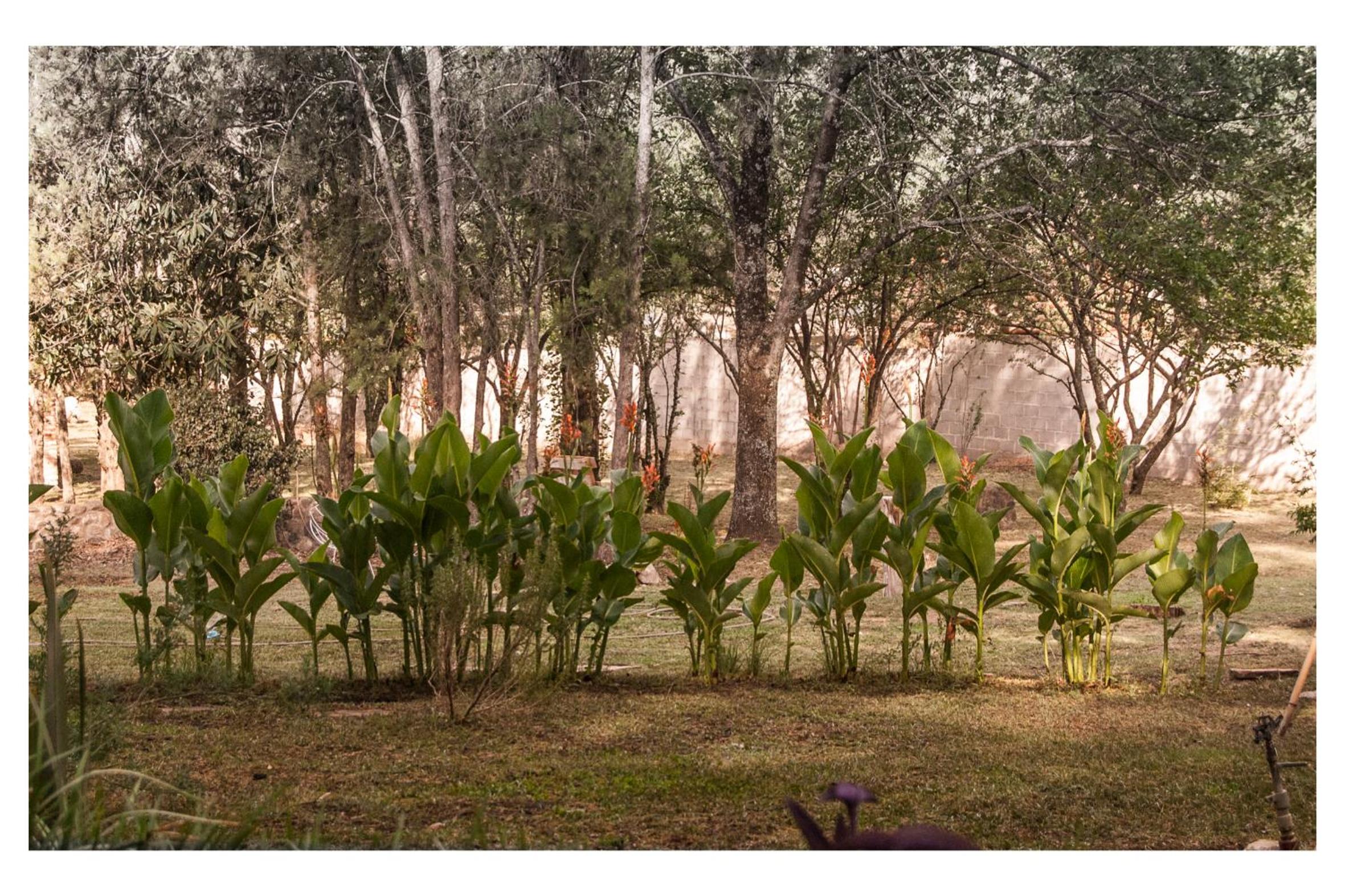 VILLA BEATRIZ
