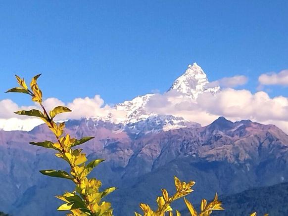 Himalayan Deurali Resort