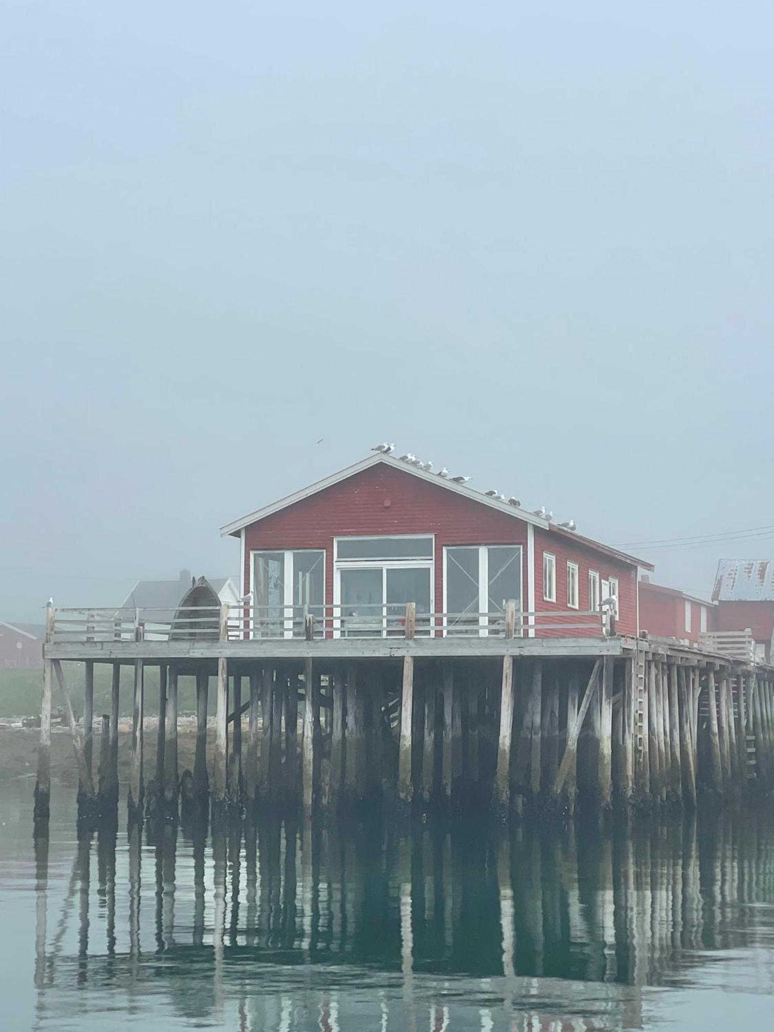 Photo 42
