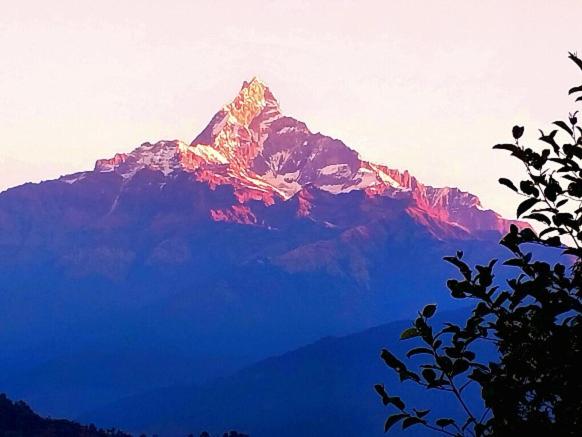 Himalayan Deurali Resort
