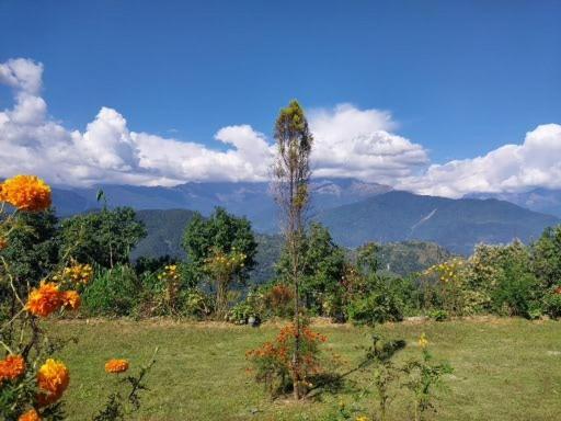 Himalayan Deurali Resort