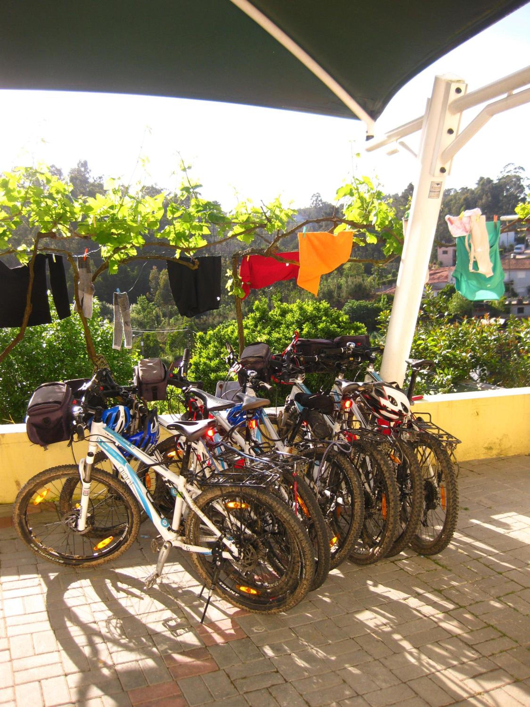 Photo 40