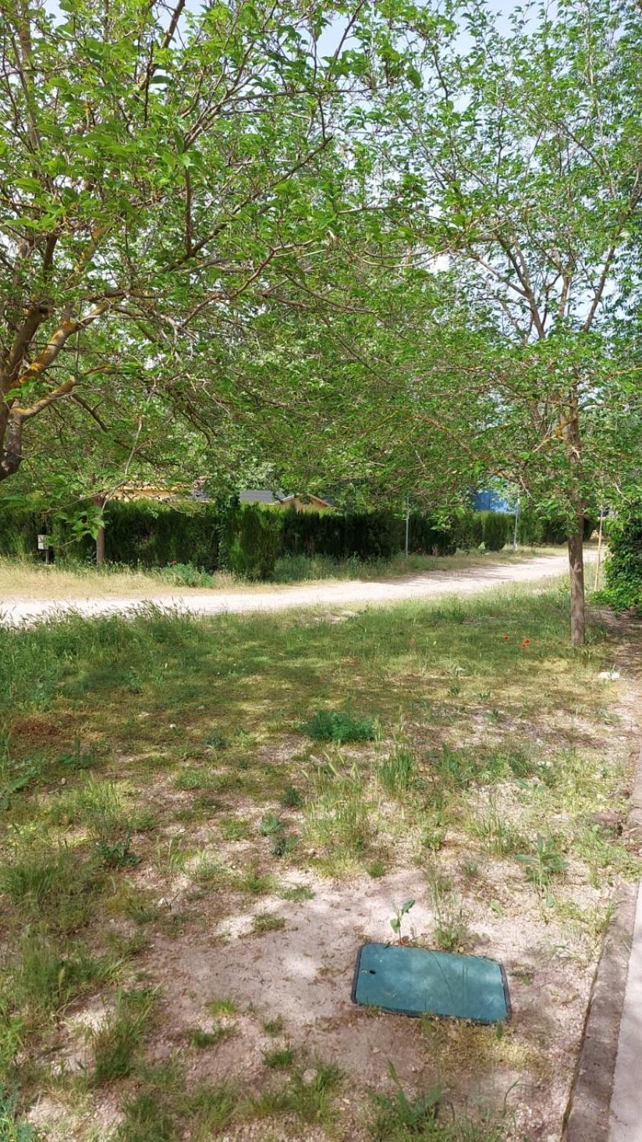 Camping Hoces de Mira