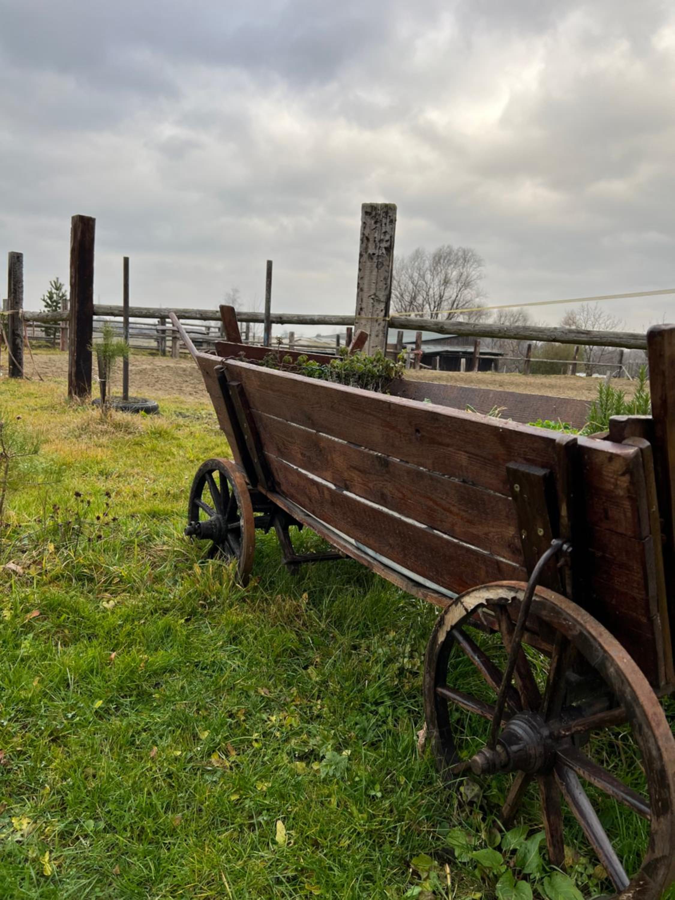 BUBLA CITY RANCH