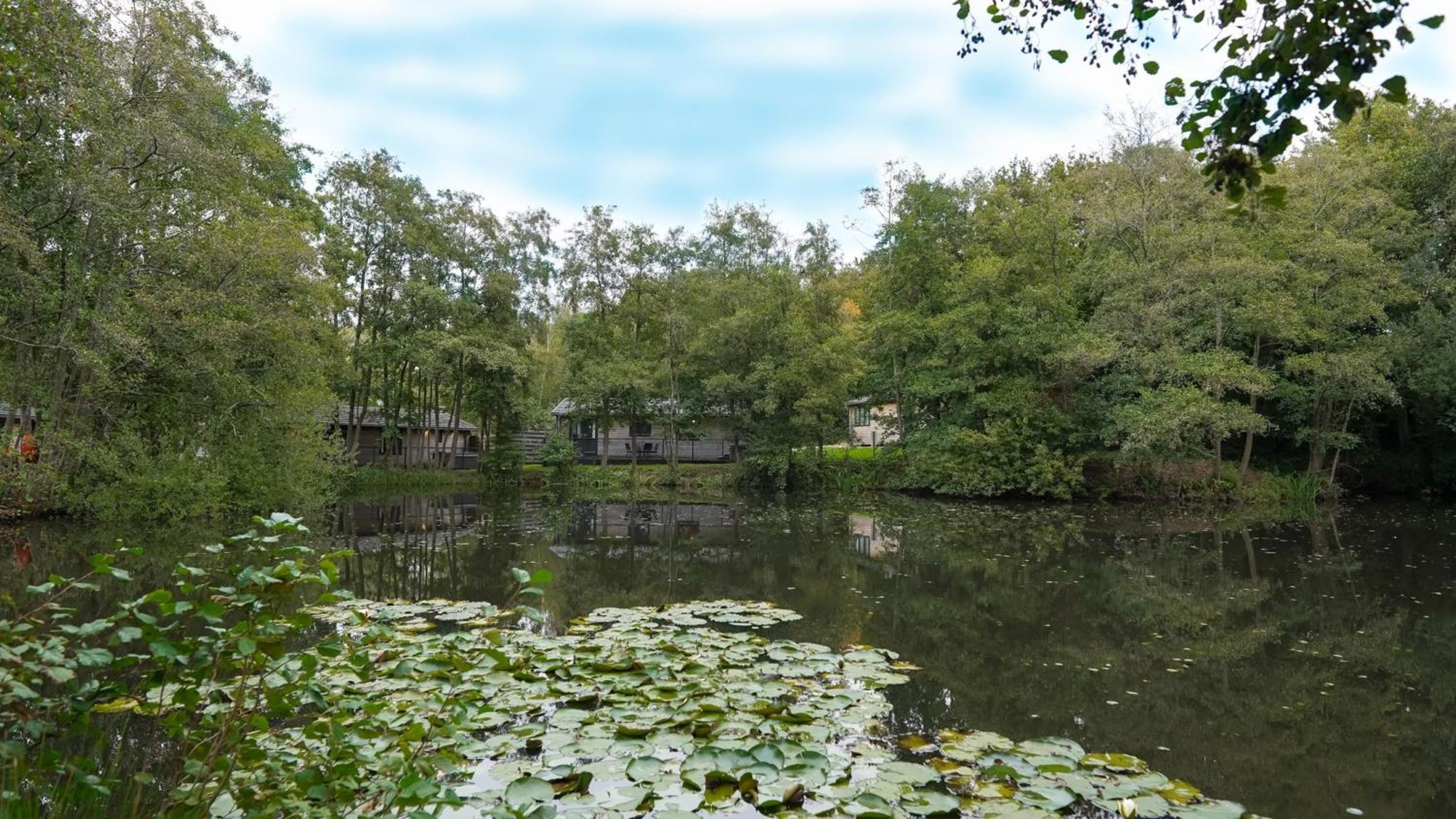 Warren Wood Country Park view 2