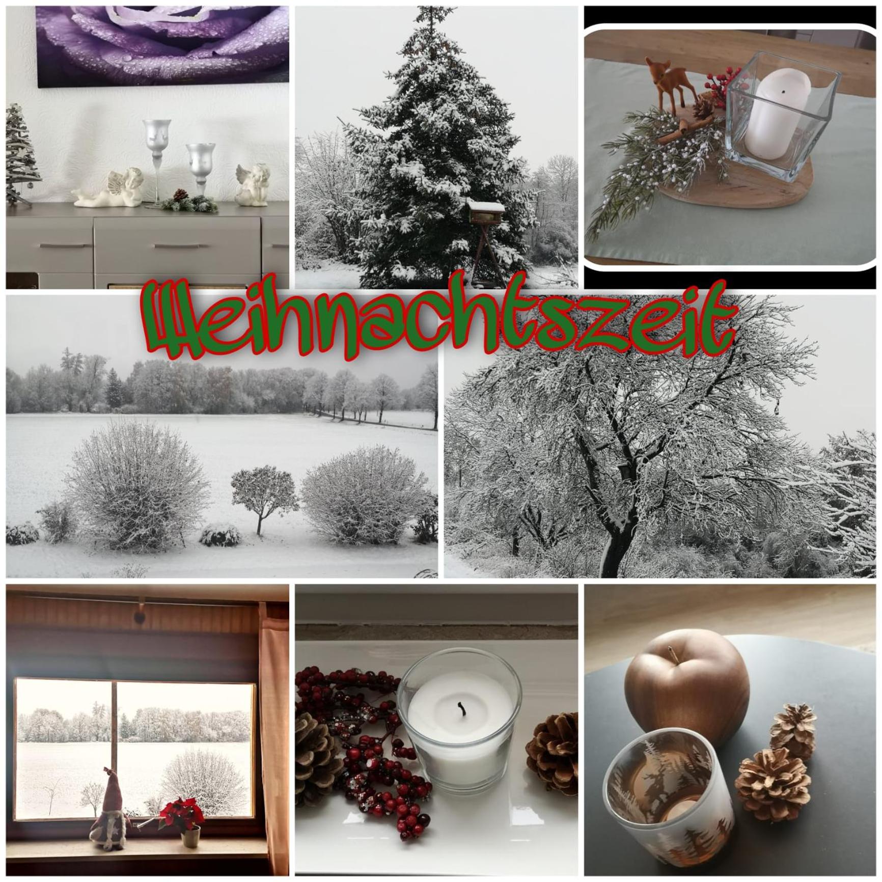 Ferienwohnung Alwine