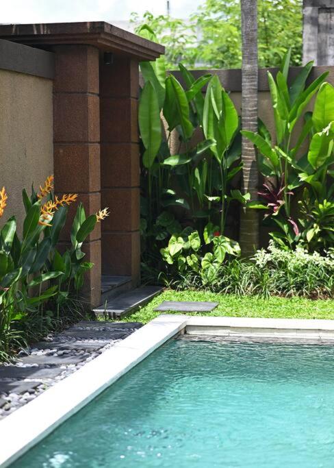 Villa Searenity Seminyak view 5