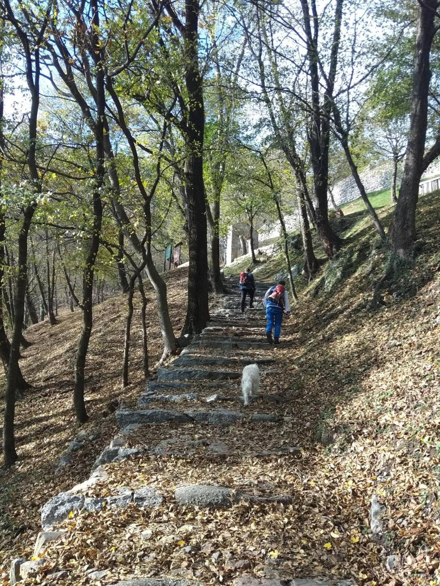 Residenza La Cascata
