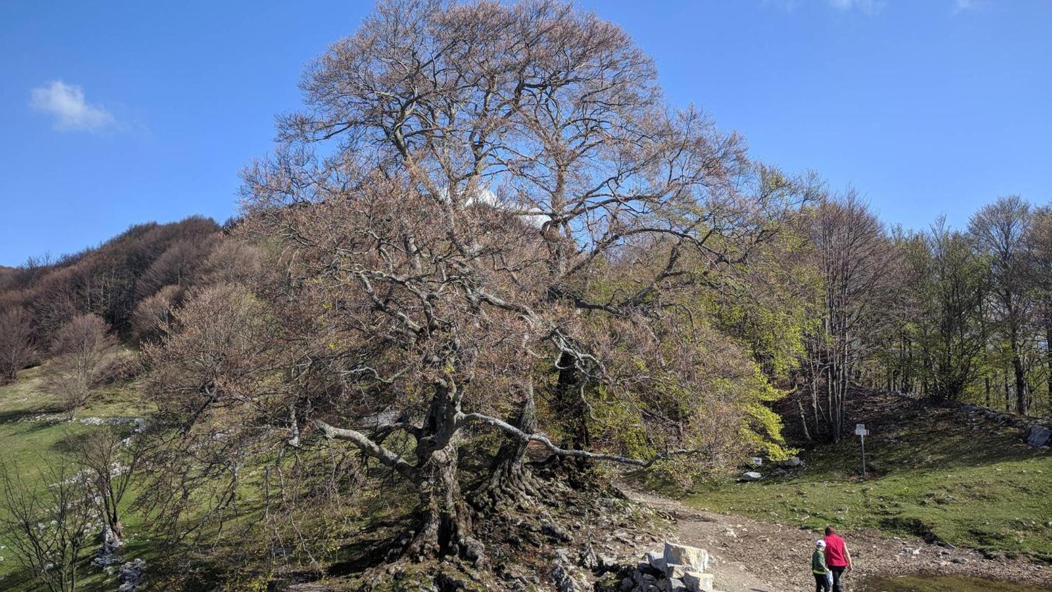Residenza La Cascata
