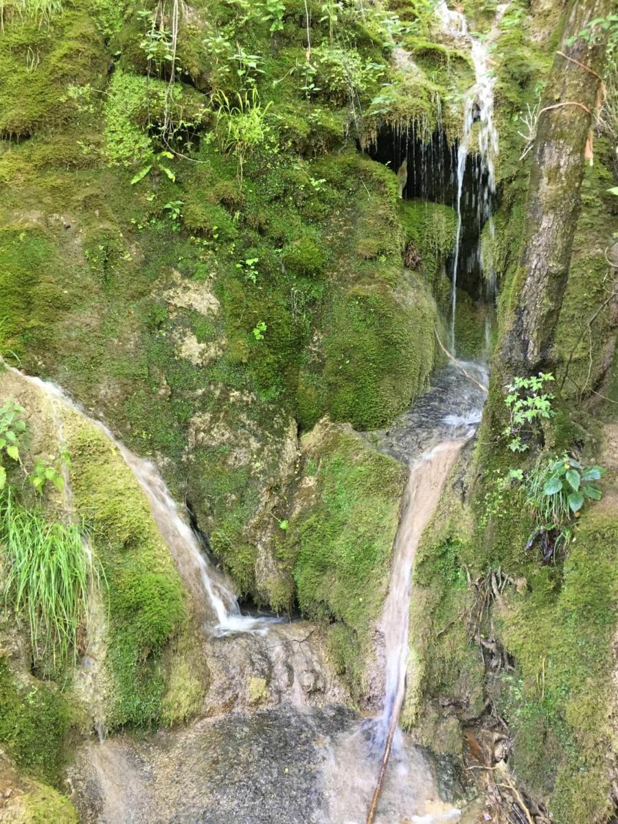 Residenza La Cascata