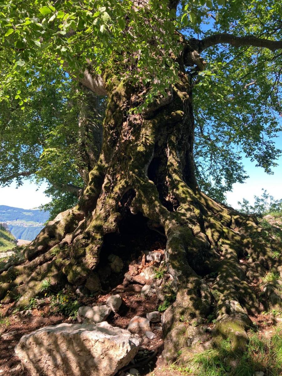 Residenza La Cascata