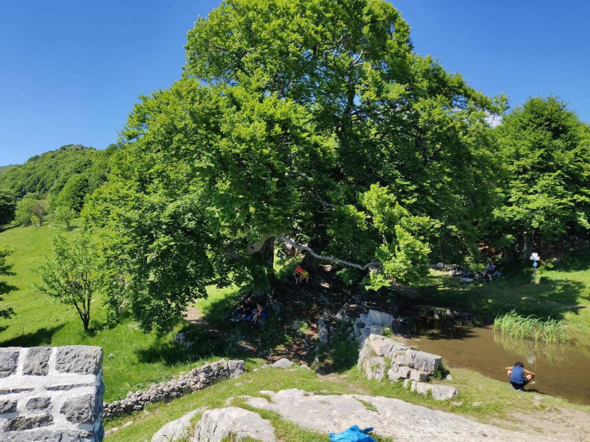 Residenza La Cascata