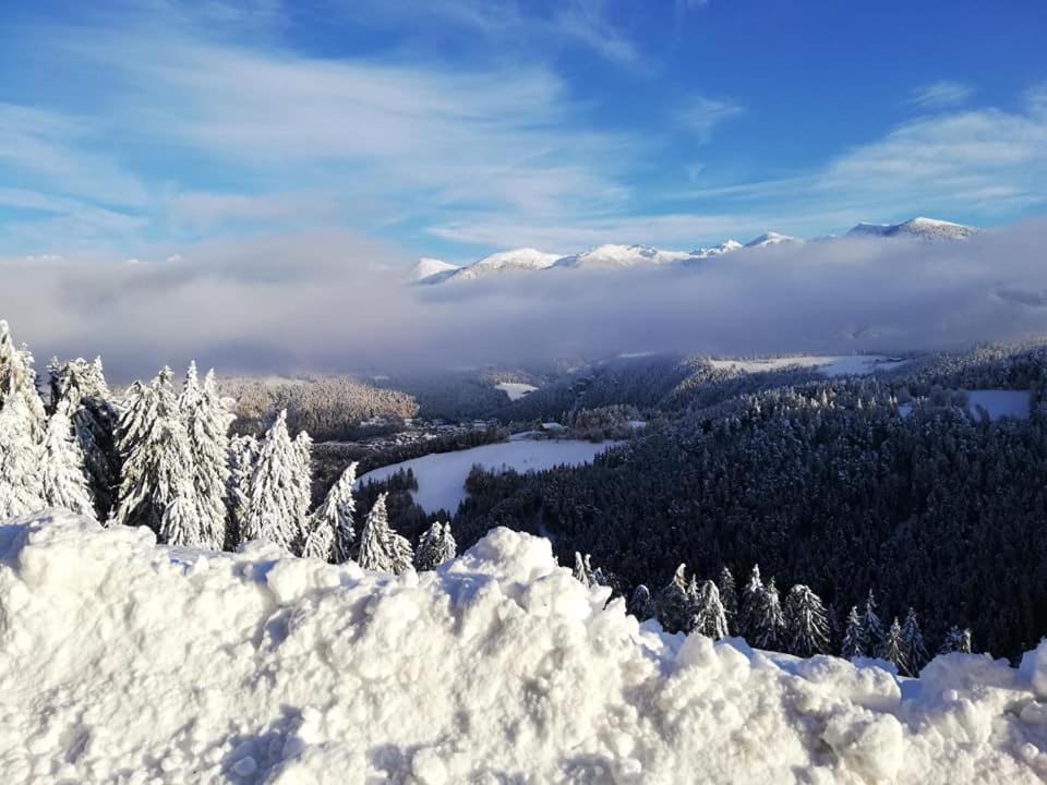 Kehrerhof Urlaub auf dem Bauernhof view 4