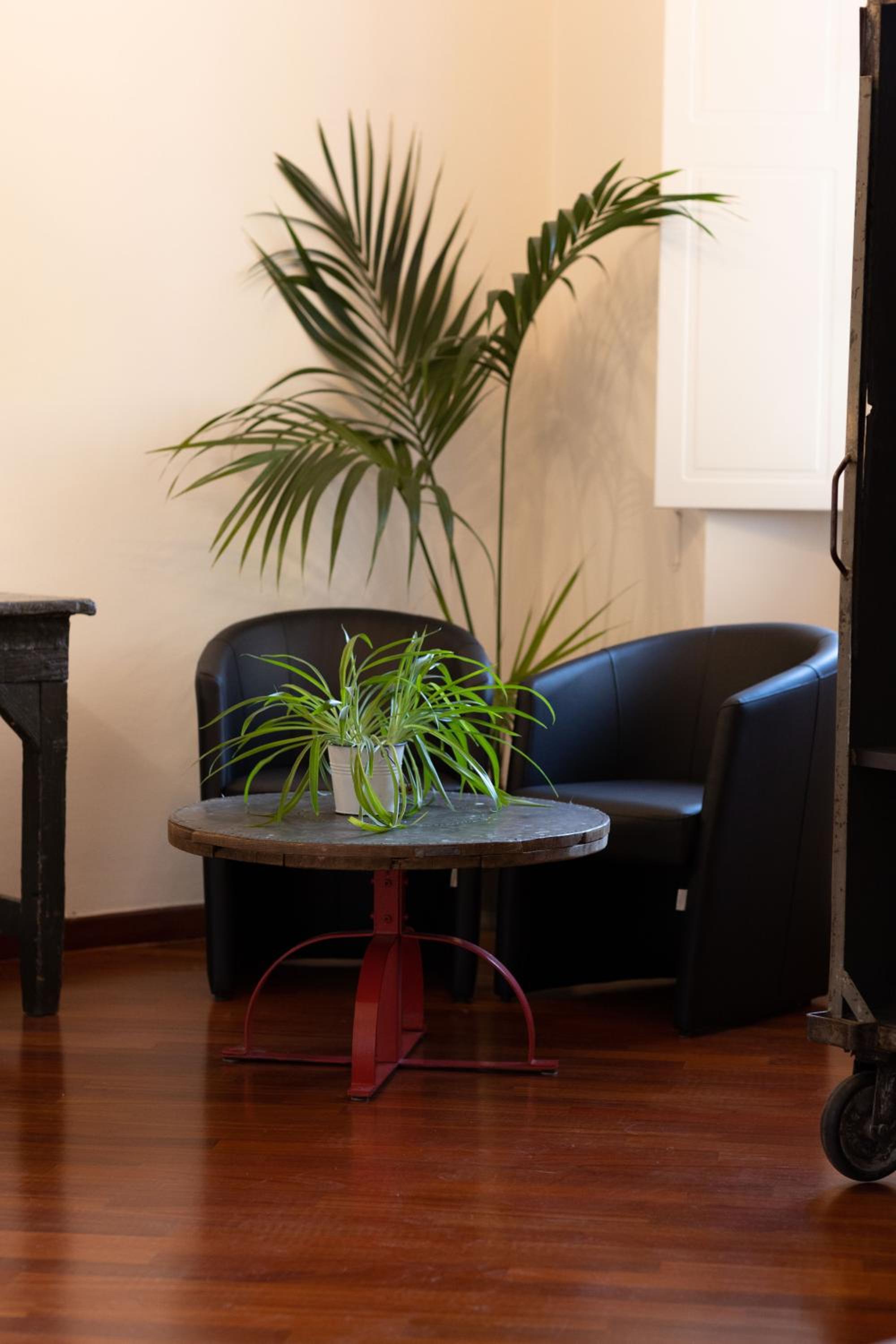 FuordArno Bed & Breakfast