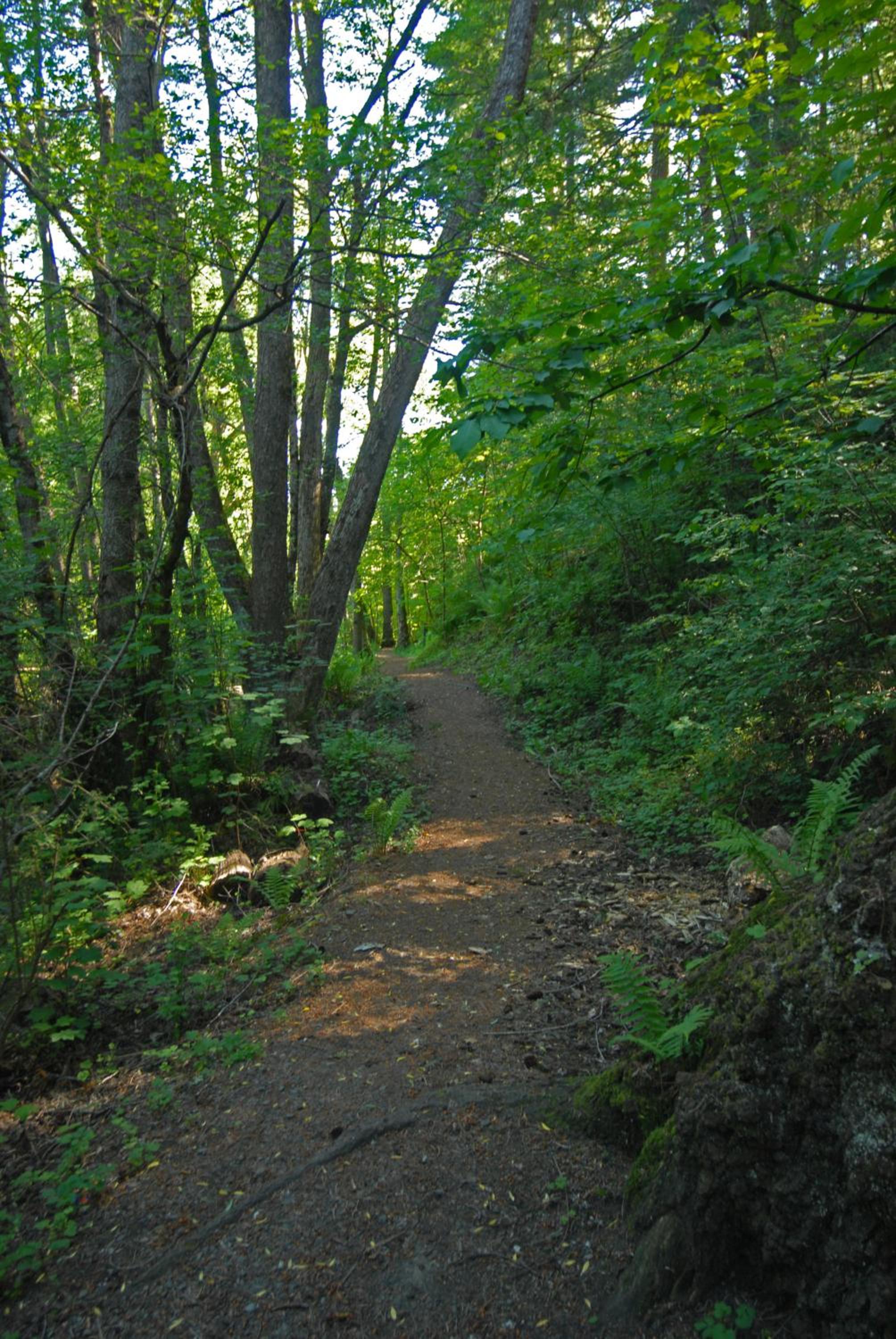 Photo 42