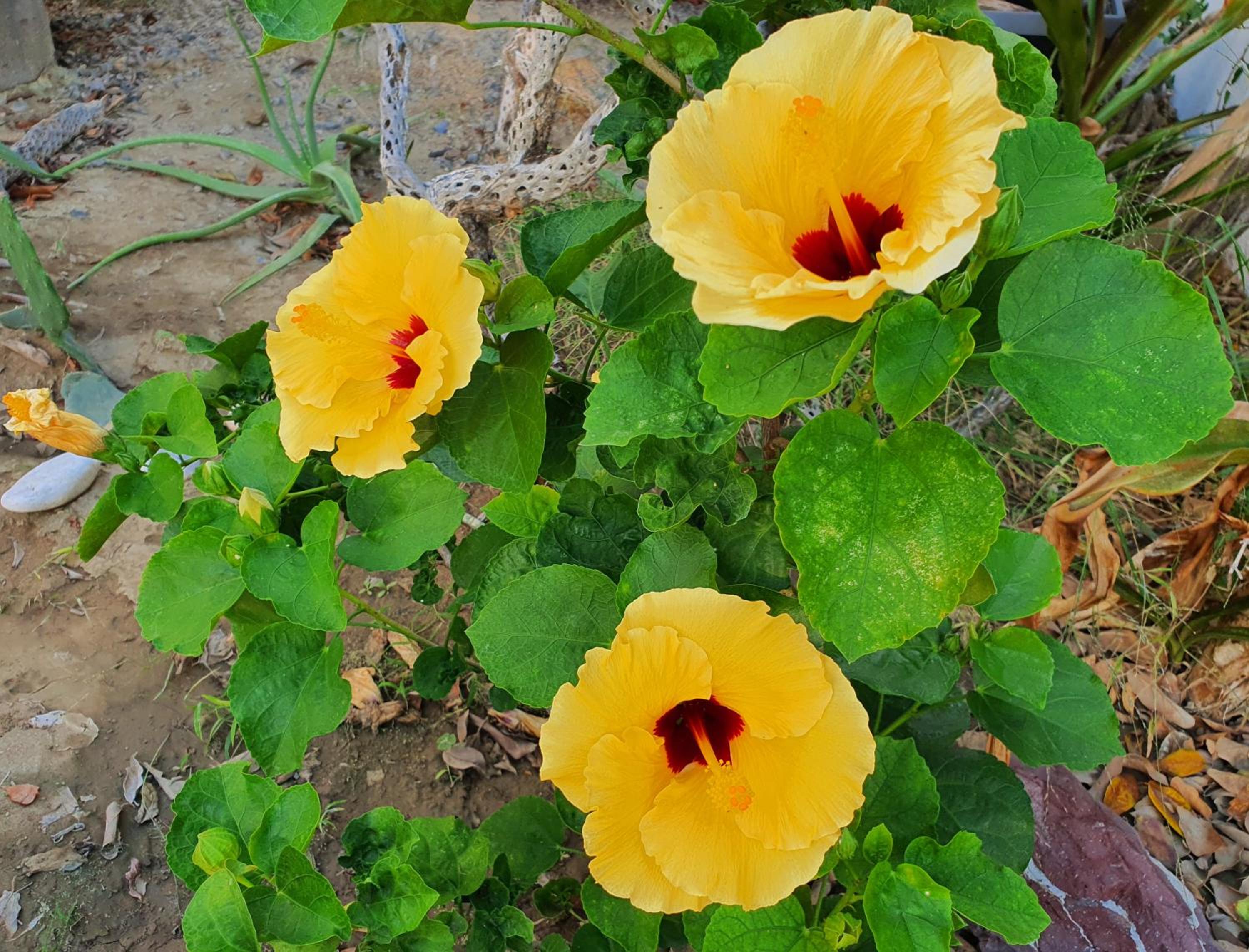 Photo 23