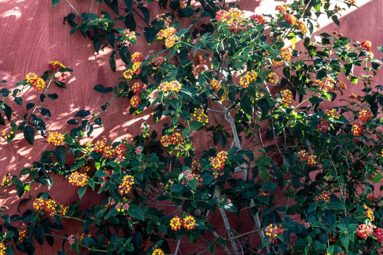 Casa Flamingo view 4
