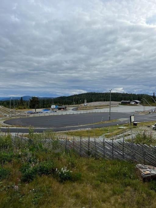 Stadionutsikten
